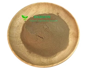 Persediaan Darwin bubuk daun Guayusa bubuk ekstrak alami Guayusa - Product Image 3