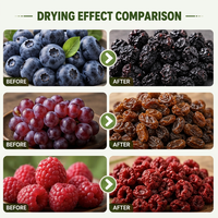 Machine industrielle de séchage des baies et des raisins, déshydrateur à air chaud en acier inoxydable pour myrtilles, canneberges et fruits