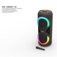 Haut-parleur double MS-2085BT-W pour le commerce extérieur, idéal pour la danse carrée, le karaoké, avec microphone sans fil, subwoofer extérieur 800W et radio FM