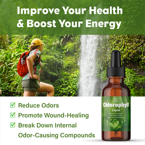 تصنيع المعدات الأصلية/ODM العلامة التجارية الخاصة الكلوروفيل قطرات سائلة عصير عضوي مخلفات مشروب فموي تطهير الجسم المكملات الغذائية الصحية - Product Image 4