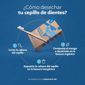 Juego de cepillos de dientes biodegradables <span class=keywords><strong>B</strong></span> Life con 10 piezas y cerdas de nailon medianas para adultos - Product Image 4