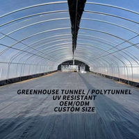 Serre tunnel agricole et horticole complète : ensemble d'équipement, petite serre mono-chapelle en PE avec structure de cadre