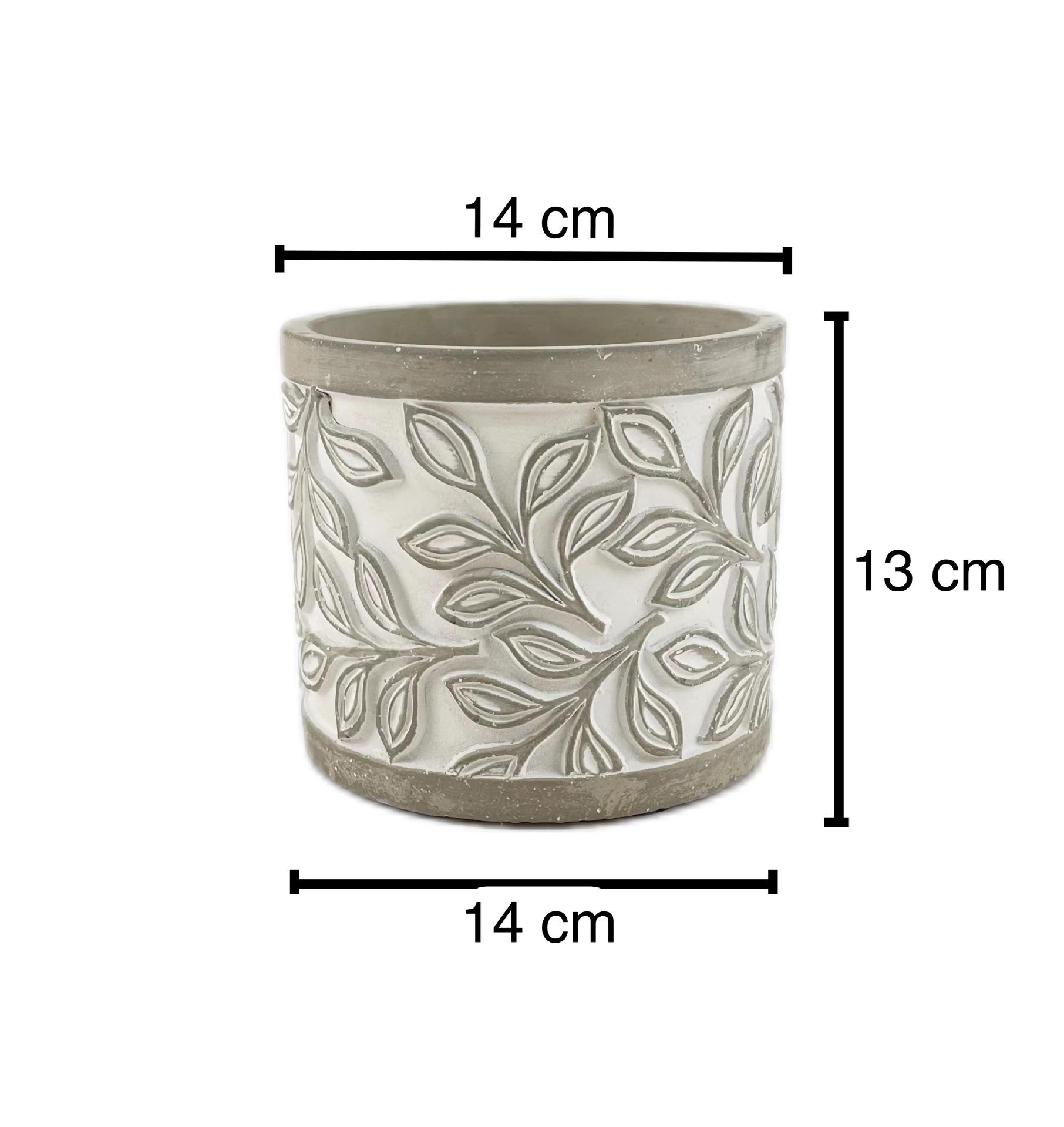 Grey leaf medium size