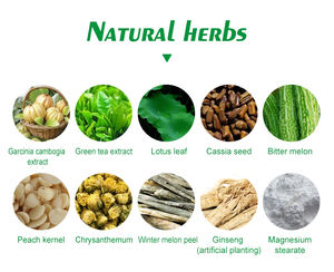 Garcinia Cambogia kapsul pelangsing penekan nafsu makan untuk penurunan berat badan kapsul Herbal hanya untuk dewasa - Product Image 4