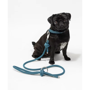 Nouveau collier de laisse de chien de luxe et conception de laisse en nylon paracorde pour le confort et le style des compagnons canins actifs - Product Image 6