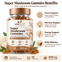 Gummies aux Super Champignons Marque Blanche 3000mg par Portion Concentration Clarté Végétaliennes à Base de Pectine Énergie Immunitaire