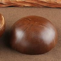 Bols en noix de coco polis jetables, cuillères en bois, ensemble de fourchettes écologiques pour salade, bol en coquille de noix de coco