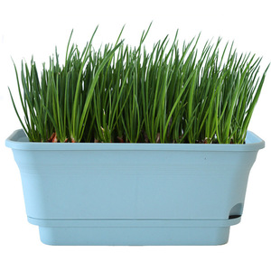 <span class=keywords><strong>Maceta</strong></span> de riego automático de doble capa SQ159, cuenco hidropónico <span class=keywords><strong>Rectangular</strong></span> de gran tamaño, macetas verdes para plantas - Product Image 1