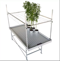 Tables hydroponiques à flux et reflux peu encombrantes, support de culture durable pour serre avec grand bac de récupération d'eau pour l'horticulture