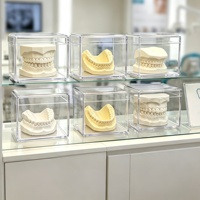 Caja de exhibición para modelos dentales, caja de almacenamiento para modelos dentales con tapa para modelos de estudio de ortodoncia y organizador dental