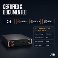 Batterie LiFePO4 48V 100Ah 5.12kWh pour montage en rack, module de batterie pour rack de serveur, BMS intelligent, solaire, télécommunications, OEM, ODM
