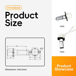 Bomba peristáltica de 3V, 6V, 12V, microbomba de agua de ácido carbólico, Motor de CC para bomba de dosificación química, transferencia de <span class=keywords><strong>sulfato</strong></span> férrico - Product Image 4