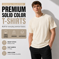 T-shirt vierge 100 % coton peigné 200 g/m² de qualité supérieure pour homme, coupe classique, impression de logo personnalisée DTG DTF, vente en gros