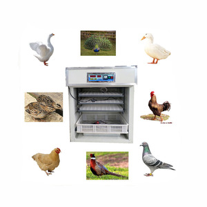 New Design Commercial Best Incubator for Chicken <b>Eggs</b> Chicken <b>Egg</b> Incubator with Low Price - Product Image 2