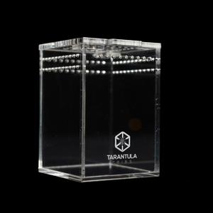 Coperchio superiore in rete acrilica perforato per 4 "Cube/interruttore tarantola presepi in acrilico per rettili con coperchio magnetico - Product Image 1