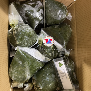 Feuilles de manioc surgelées IQF de qualité supérieure : Meilleur exportateur du Vietnam, couleur et saveur naturelles garanties. - Product Image 1