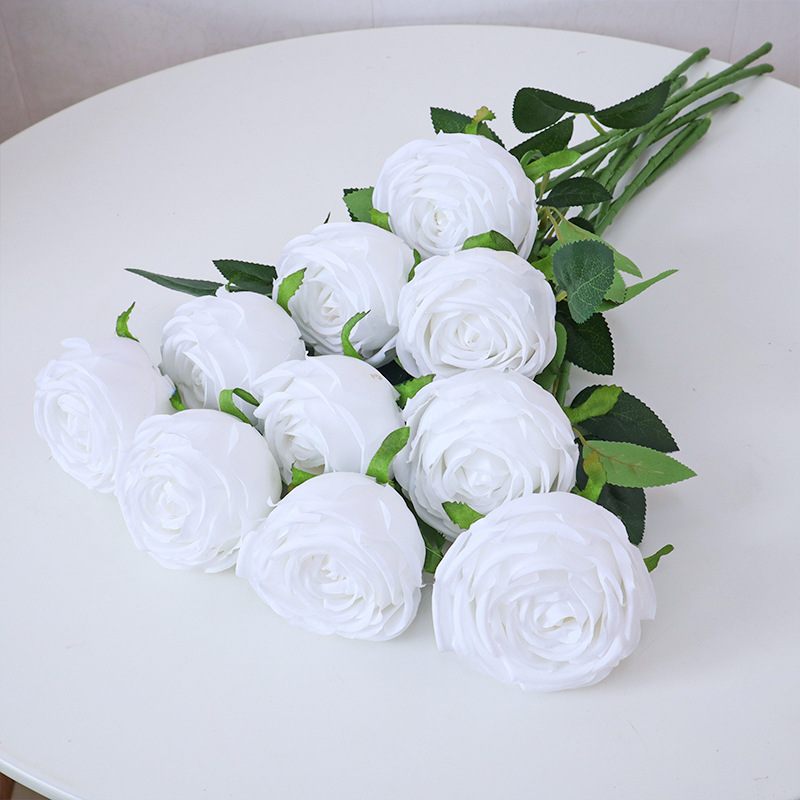 Pure white