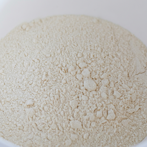 Refined Yeast <b>Protein</b> <b>Isolate</b> High Purity 100% Pure Plant-Based Ingredient for Vegan Food Manufacturing & Nutrition Enhancers - Product Image 1