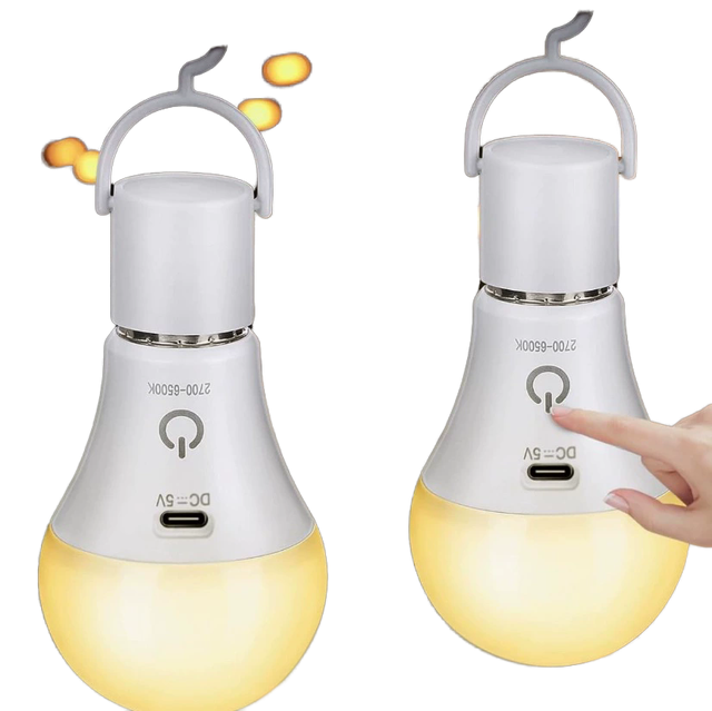 USB Rechargeable LED Light Bulb 16-Color RGB Dimmable A60/A19 Globe Lamp with Smart Remote Control Home Decor E26 Base