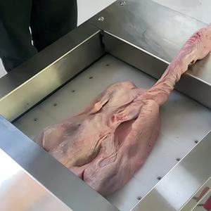 เครื่องหั่นเนื้อแช่แข็งอัตโนมัติความเร็วสูง สำหรับหั่นเป็นลูกเต๋าและเส้น - เครื่องตัดกระดูกสำหรับเนื้อแพะ เนื้อหมู เนื้อวัว - Product Image 6