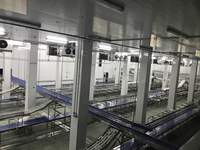Chambre froide à atmosphère contrôlée (CA) robuste pour la solution de stockage en vrac des grandes exploitations agricoles de fruits