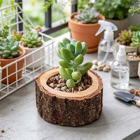 Pot de fleurs en bois naturel, style rustique, en forme de souche d'arbre, pour plantes succulentes, cactus, décoration de table, jardin, maison