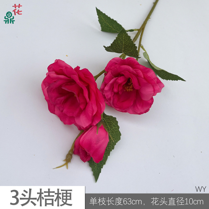 ดอกกระดิ่ง 3 หัว (WY) สีแดงกุหลาบ