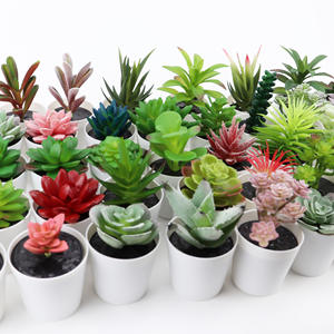 Mini flores de plástico decoradas <span class=keywords><strong>Echeveria</strong></span> Violet Queen plantas suculentas de cerámica en maceta para decoración de casa interior - Product Image 4