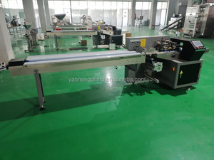 เครื่องแพ็คแบบแนวนอน YN-350 เครื่องบรรจุภัณฑ์สำหรับผลไม้และผัก เครื่องห่อแบบพิลโลว์  มีจำหน่าย - Product Image 6
