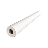 Vente directe de rouleaux de bâches en PVC blanc écologiques pour impression publicitaire en intérieur