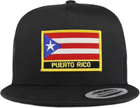 Logo personnalisé 3D brodé Porto Rico Drapeau Flat Bill Snapback Casquettes ajustées en nylon pour hommes Gorras pour Performance Fleece Character