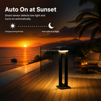 Lampadaire solaire LED extérieur blanc chaud pour jardin, 40cm 60cm 80cm, pour allée, hôtel, café, cour, décoration, garantie 2 ans
