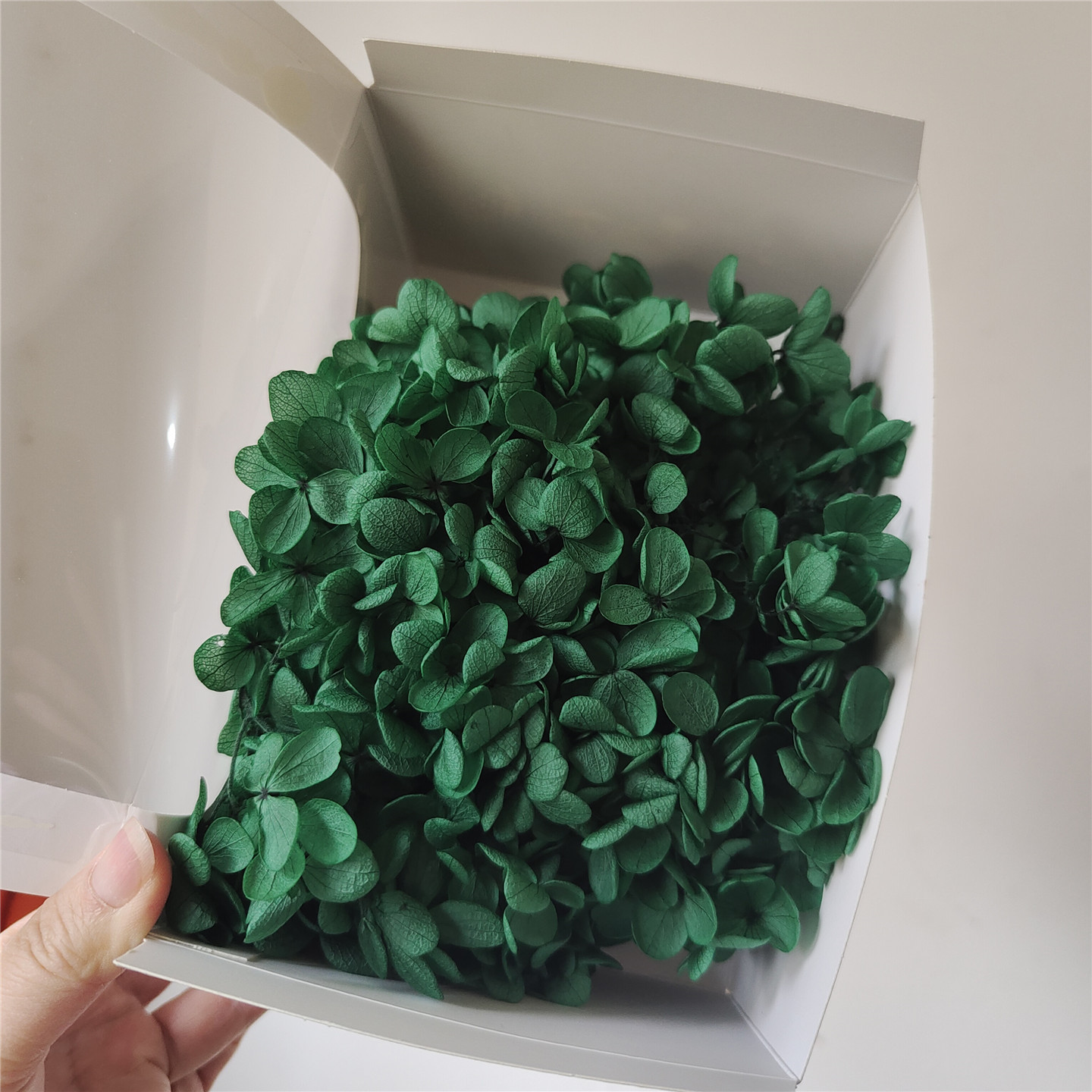 Hortensia en bois vert foncé - 20g par boîte