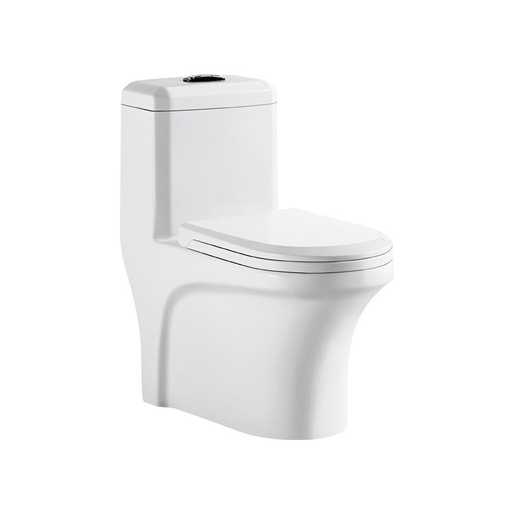 Deux Pièces Laver Près-Formulé Placard Wc En Céramique