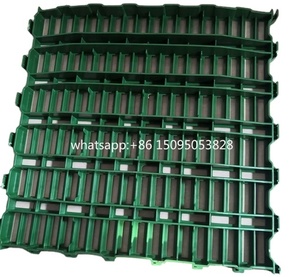 600*600mm cabra plástico listón piso oveja estiércol fuga rejilla estera aves estiércol evacuación tira tablero Placa de malla - Product Image 2