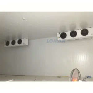 Evaporizador industrial comercial da refrigeração da baixa temperatura do ar para a sala de armazenamento frio