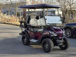 Voiturette de golf électrique tout-terrain personnalisée QiFan Shandong Factory avec batterie au plomb-acide 48V 150Ah - Product Image 6