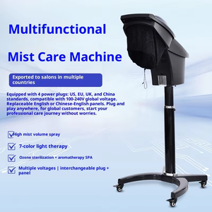 Professional Factory Supply Hair Steamer With Headcap 800w Spa Salon Micro Mist Hair Steamer Hot Cold Fog Hair Care Machine - Product Image 3
