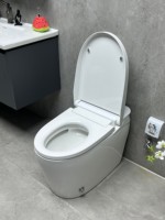 Bidet sans prise électrique, à pression d'eau, manuel, pour lavage des parties intimes et hygiène féminine, produits sanitaires écologiques pour la salle de bain