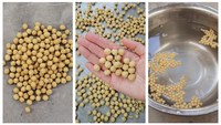 Ligne de production d'aliments pour poissons et crevettes, ligne de transformation d'aliments pour chiens et chats, extrudeuse de fabrication d'aliments pour poissons, usine