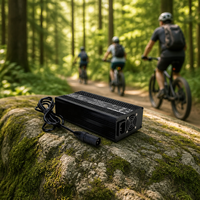 Chargeur de batterie au lithium de haute qualité 360W pour voiturette de golf électrique/moto électrique/vélo électrique/robot