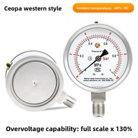 Stainless Steel Shock-Resistant Safety Pressure Gauge YBQH(N) Diaphragm Dual-Range (-0.160 MPa) Explosion-Proof Customizable