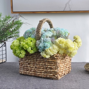 Plantes artificielles succulentes Miyazuki en résine souple pour micro-paysages, idéales pour la décoration de mariages, maisons et hôtels - Product Image 2