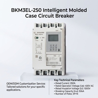 Disjoncteur différentiel de type AC PV BKM3EL-400 160~400A, unité de déclenchement thermique-magnétique, capacité de coupure 50/65/85kA, 3P+N/4P