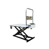 Nouvelle plateforme élévatrice à ciseaux électrique miniature à moteur CC pour usage intérieur/extérieur, hauteur de levage max. 1,2 m, vente en gros