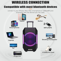Audio profesional inalámbrico al aire libre 15 pulgadas altavoz Subwoofer activo alimentado por batería DSP DJ caja de sonido PA SISTEMA DE Karaoke WiFi AUX