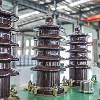 Transformateur de distribution toroïdal immergé dans l'huile triphasé 0,4 kV, entrée 6 kV, haute efficacité, faible perte, sûr pour l'industrie
