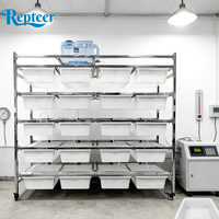 Système de rangement empilable pour reptiles, structure en fer, écologique, durable, design solide, plateau en plastique, fermeture à bouton-pression, maisons pour animaux personnalisées