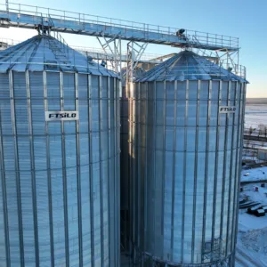 Steel Paddy Rice And Grain Silos 45 Ton Silos Pig Farm