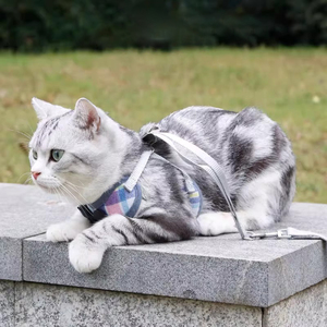 <span class=keywords><strong>Harnais</strong></span> pour chien <span class=keywords><strong>anti</strong></span>-<span class=keywords><strong>évasion</strong></span>, sangle de poitrine respirante pour <span class=keywords><strong>chat</strong></span> avec laisse, gilet de protection pour animaux de compagnie - Vente chaude - Product Image 2